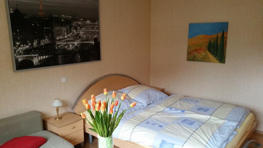 Wellness Apartments Sophienhoehe Am Teich メッヒャーニッヒ 部屋 写真